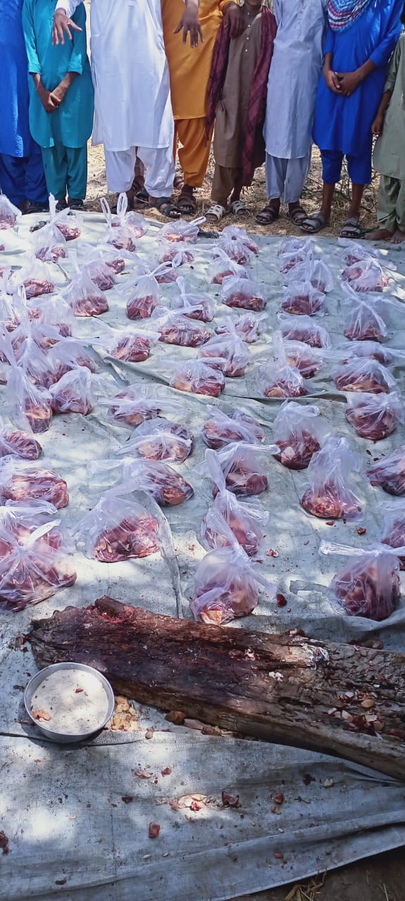 Impact Photo other-29